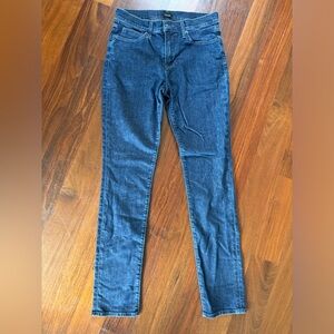 Hudson Jeans Blue Skinny Pants